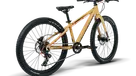 X coady 24 disc sand 003 7031 e725d33a 1ba9 42fe a5dd 52d97de7fa96