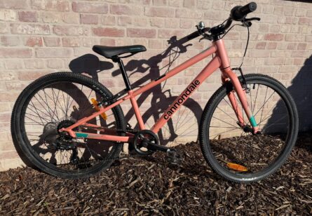 Cannondale