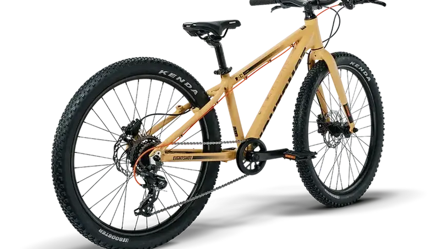 X coady 24 disc sand 003 7031 e725d33a 1ba9 42fe a5dd 52d97de7fa96