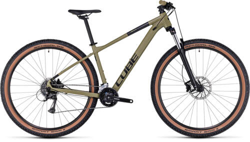 AIM Race 2023