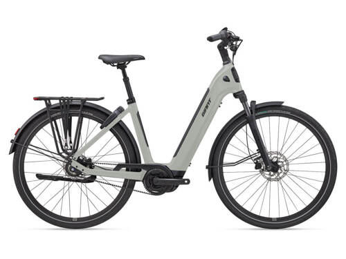 Newtour E+ 1 Desert Sage 2026